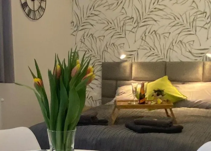 Stara Chalpa Appartamento Muszyna